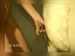 Knotty: Love Lotion - Où le Désir Animal Prend Le Reins
