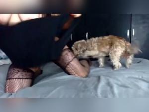 Fantasmes d'Animalité : Milly défie les limites dans Partie 3