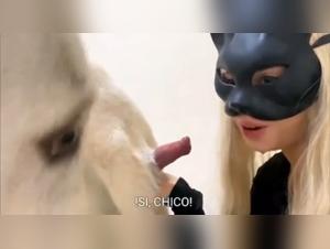 Débauche Canine : Les Plus Sauvages Videos XXX
