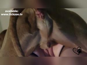 Loulou la gnaule à outrance, sa chienne adore ça