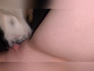 Chien Dominateur : Sodomie Feroce et Immonde