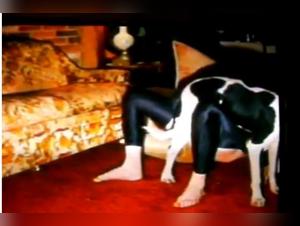 Dog se joint à la webcam intime: mère et fille dévoilent leurs désirs