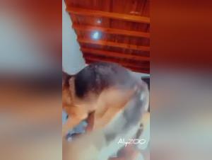 Zoophilie brute : Le chien domine Latyzoo