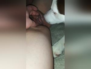Zoophilie Indigne : Agression Canine Inconsciente