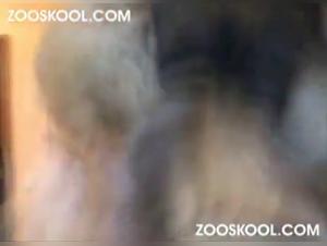 Délice Animal: Milly et Son Chien dans une Danse Seduisante de Désir