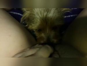 Shylark Double Baise:  L'Obsession Canine Déchaînée