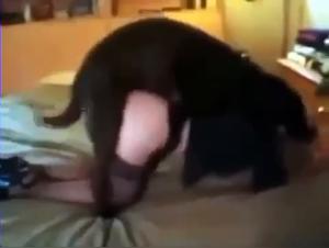 zo Bataille : Putain et son Chien
