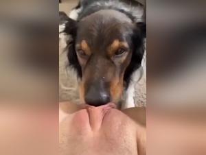 Zoophilie Hardcore : La Déesse Baisée par Son Chien
