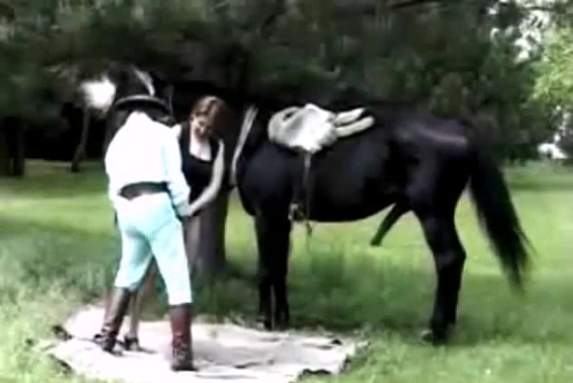 Fiery horse fucks slut with XXL tits