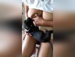 Gros seins, petit téton : la nounou canine version XXL