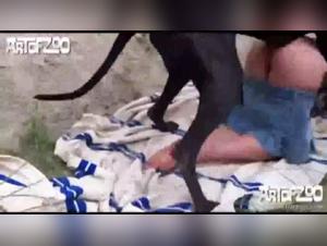 Dogue XXL et bouches à feu : Sophie en laisse pour son jouisseur canin
