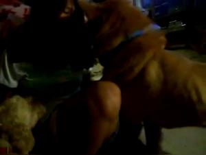 Chienne défoncée: Blowjob animal sauvage