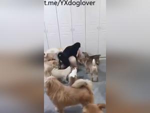 Délices Bestiaux Asiatiques :  S'abandonner au désir animal