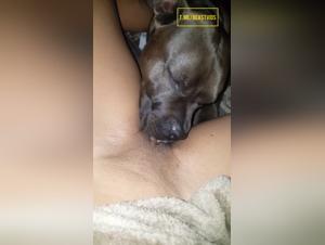 Zoophilie sans limites : Lèche et Baise avec un Chien Déjanté