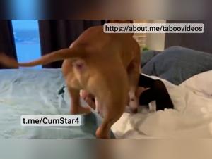 Délices Sauvages: Milly explore les limites avec un chien indomptable