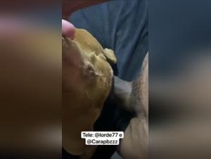 Débauche Canine : Milly dévoile ses désirs les plus profonds