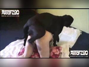Zoophilie Dévoilée : Kerstin et son Cane Corso