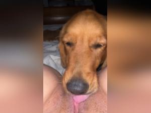 Licking Obsession: Femmes et Chien dans le Délire