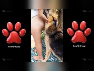 Analina: Où la Bestialité Royale Révèle Ses Joies