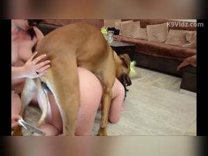 Débauche Canine : Double Baise Lesbienne et Chien