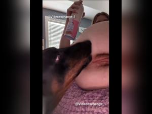 Faveur canin : chatte mouillée, clitoris emmené à la fête