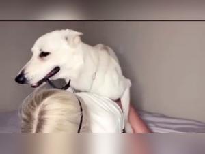 Déchaînement Féminin : Blonde Hardcore & Chien