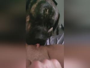 Zoophilia : La Désir insatiable d'une Femme pour son Chien