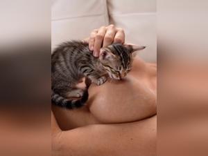 Fantasmes félinos : Allaitement et Baise Nue