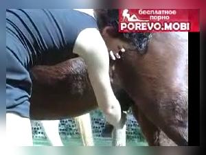 Zoophilie Farm Fury: Cheval Dévastate une Femme