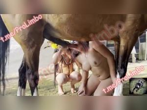 Valeria Défoncée par un Cheval Ravissant