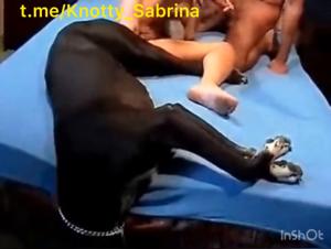 Double Bestiality: A Wild Canine Orgy