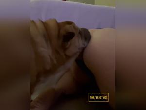 Licking Obsédé: Une Femme Sous le Pouvoir d'un Âne Sauvage