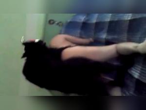 Chat Domination: La Folie Féline