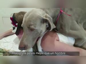 Fougue Féline : Baisers Animaux Interdits