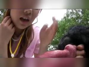 Chienne mordante :  Elle se laisse dominer par un Golden Retriever sauvage