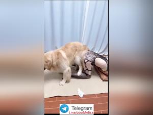 Fantasmes Exaltés : Baise Animale Chinoise Partie 2