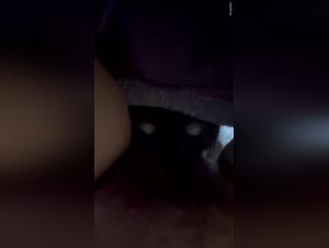 Nouvelle game : chien, léchage, chatte découverte