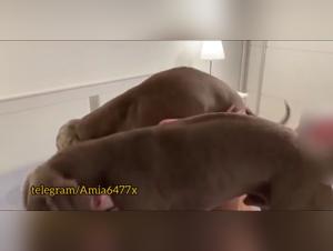 Knotting Animal: Domination Canine à Domicile