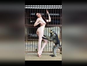 Désir Animal : Explorez les Limites de la Lust
