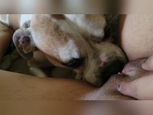Lick & Domination: La Passion Canine Dévoilée