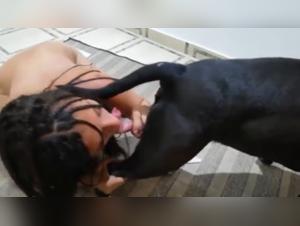 Teen Dog, Explosion de Chair Vive