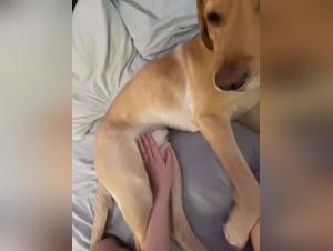 Les Désirs Bestiaux de Milly : Explorez le côté Obscur