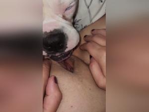 Fringale canine : cul et chatte au menu