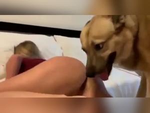 Débauche Canine: Explorez le désir insatiable entre femmes et chiens