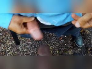 Wild Delights: A Black Dog Sticking His Dick