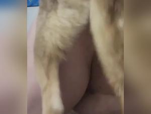 Débauche Canine : Une femme entregue à la domination de son chien