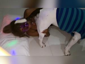 Alison Costa Rica : Délices Bestiaux Ténébreux