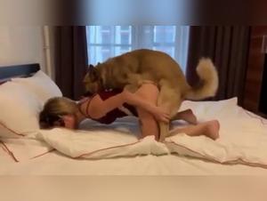 Pousse russe montante, jouissance canine garantie