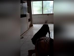 Dog Bangs Mom : Real Animal Sex Action