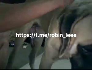 Désir Animal: Femmes et Chiens dans une Intimité Gay